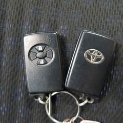 実物を見ると迫力ありますの画像