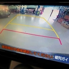 実物を見ると迫力ありますの画像