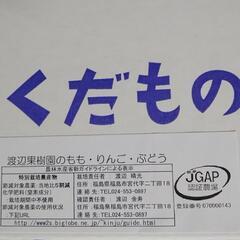 1/23~28わけありサンふじりんご2kg8〜9個入《特別栽培》福島市の画像