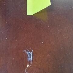 ダイニングテーブルと椅子４脚の画像