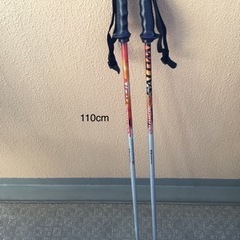 【予定者決まりました】無料❗️SALOMON スキーストック　1...