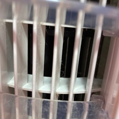 アイリスオーヤマ　扇風機の画像