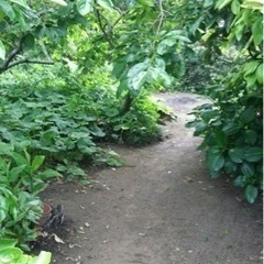 受け渡し者決定しました。の画像