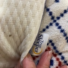 トゥルースリーパー枕の画像
