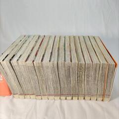 ホットマン全１５巻の画像