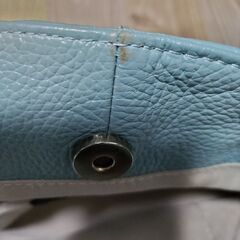【受渡者決定】カーネリアン　バッグ　革製の画像