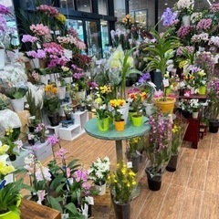 花屋スタッフ
