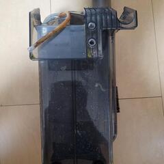 海道達磨の画像