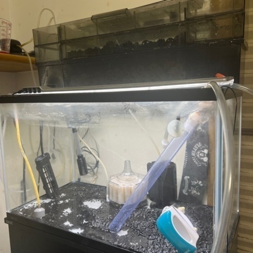 水槽飼育セット