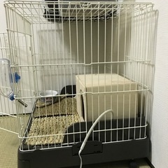 うさぎ飼育セット　ゲージの画像