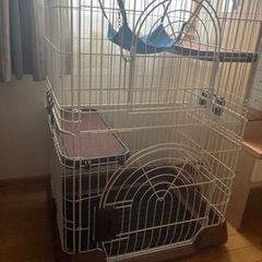 猫ゲージ