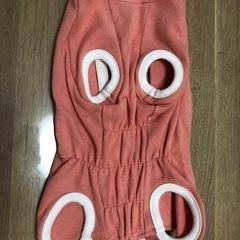 ★今月末処分★ Sサイズ　ペット用術後着［エリザベスウェア］