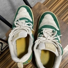 ★早い者勝ち‼︎ NIKE ナイキ　ミシガンカラー　コートロー　の画像