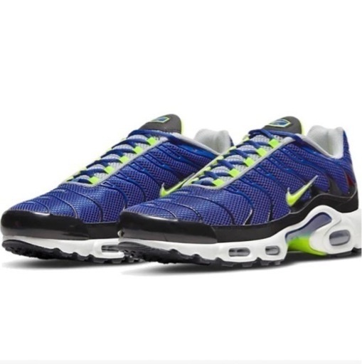 NIKE エアマックス　プラス 新品27