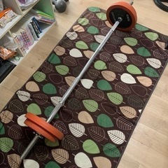 バーベル75kg、ダンベル25kg×2