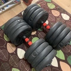 バーベル75kg、ダンベル25kg×2の画像