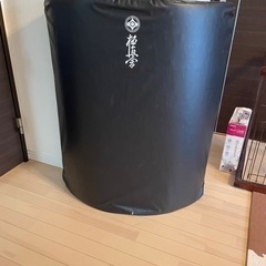 極真空手ミット