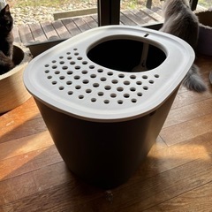 新品同様DCM 猫トイレ