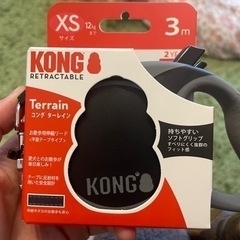 ペット リード KONG グレー