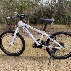 子供自転車　マリンバイクス　ドンキージュニア20
