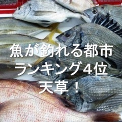 和食5年以上の経験者！副料理長候補の画像
