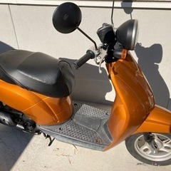 引き取り手が決まりました。ご検討ありがとうございました。の画像