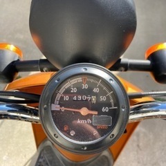 引き取り手が決まりました。ご検討ありがとうございました。の画像