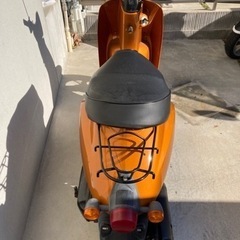 引き取り手が決まりました。ご検討ありがとうございました。の画像