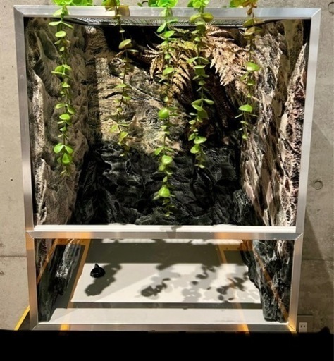 爬虫類アルミゲージ