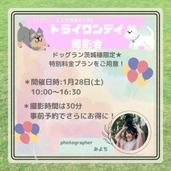 【筑西市】ドッグラン『トライワンデイ撮影会』開催