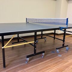 卓球台　国際規格　中古の画像