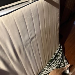 折りたたみ簡易ベットの画像