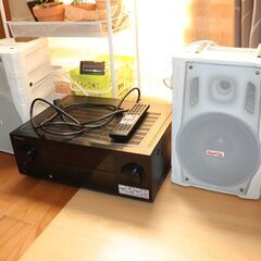 Home theather Amp  + Ramsa Speaker