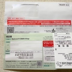 ルアーロッド　9フィートヤマガブランクス美品　保証書、袋付きの画像