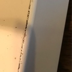 Smart WONDER Core ワンダーコア 骨盤ゆらゆらの画像