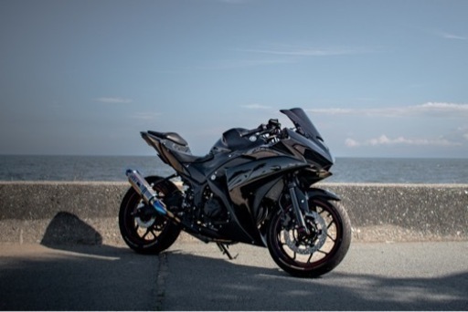 yzf-r25 カスタム総額40万超