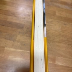 【中古】武田麻弓　ファイトの画像