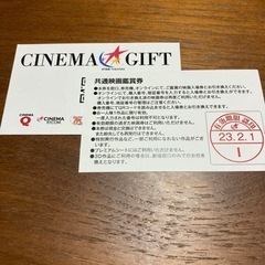 スターシアターズ　映画チケット２枚