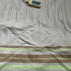 電気敷毛布の画像