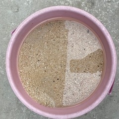 【値下げ】観賞魚用　サンゴ砂　1500円