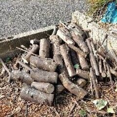 薪・約30㎝カット済み
