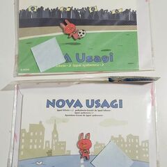 NOVAうさぎ ピンズ付きグリーティングカード２種セット