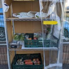 無人野菜販売所 (全てなんと100~300円)
