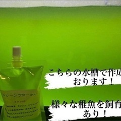 グリーンウォーター1200mlの画像