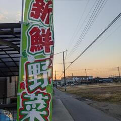 無人野菜販売所(全てなんと100円)