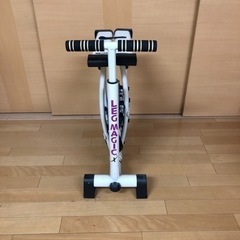 レッグマジックXの画像