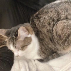 犬友が欲しいです