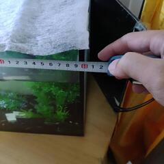 生体、水槽セットの画像