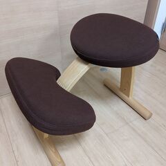 【美品】【価格相談可】バランス イージー(balance easy) サカモハウス バランスラボ(balance lab) サイズ：通常フレーム