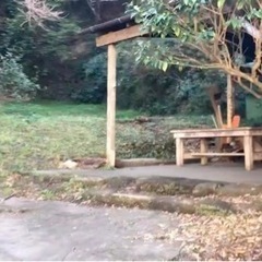 神奈川県逗子市桜山 ＃123 不動産0円物件 - 土地販売/土地売買